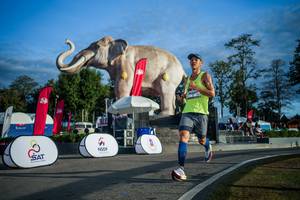 BIB: 
                            <button type="button" onclick="openModal(26541591)" class="btn btn-primary btn-sm float-right btn-popup" data-toggle="modal" data-target=".modal-high-quality">
                        <i class="fas fa-shopping-cart"></i> Add to Cart
                    </button>
                                            <button type="button" onclick="isThisMe(26541591, true)" class="btn btn-success btn-sm float-right btn-popup btn-isme hidden" data-toggle="tooltip" data-placement="bottom" title="นี่คือรูปของคุณใช่ไหม คลิกที่นี่เพื่อเอาเข้าอัลบั้ม">
                        <i class="fas fa-plus"></i> Add to album
                    </button>
                    <button type="button" onclick="isThisMe(26541591, false)" class="btn btn-warning btn-sm float-right btn-popup btn-isnotme hidden">
                        <i class="fas fa-ban"></i> Remove from album
                    </button>